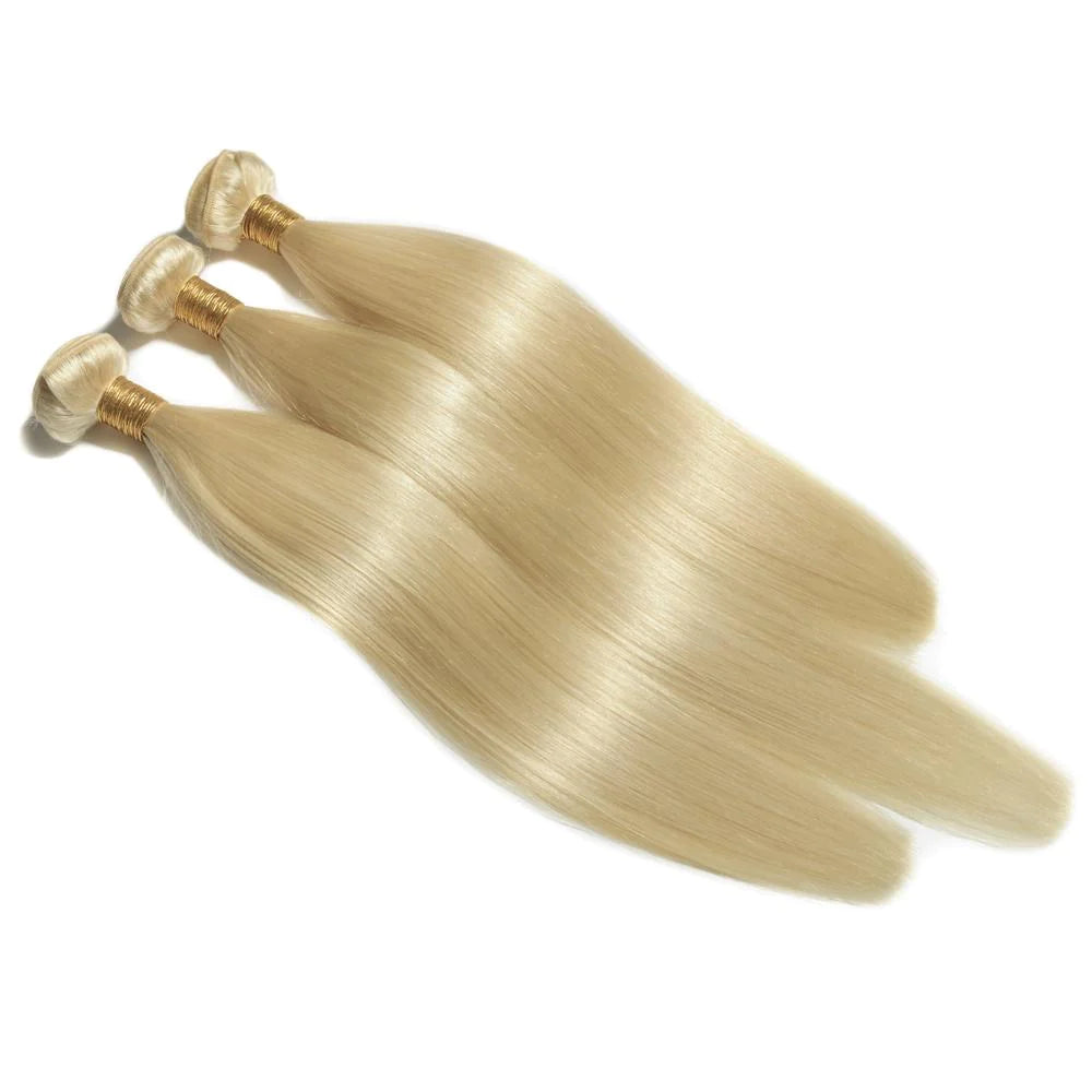 Indian Remy Straight 613